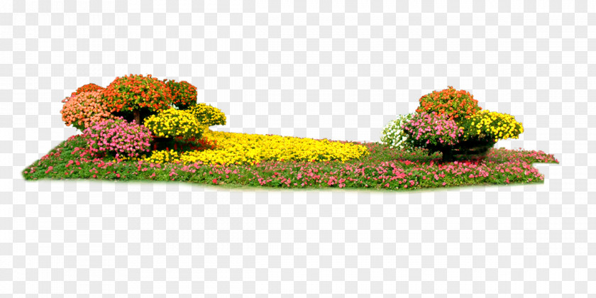 Flower Bed Floral Design Rectangle PNG