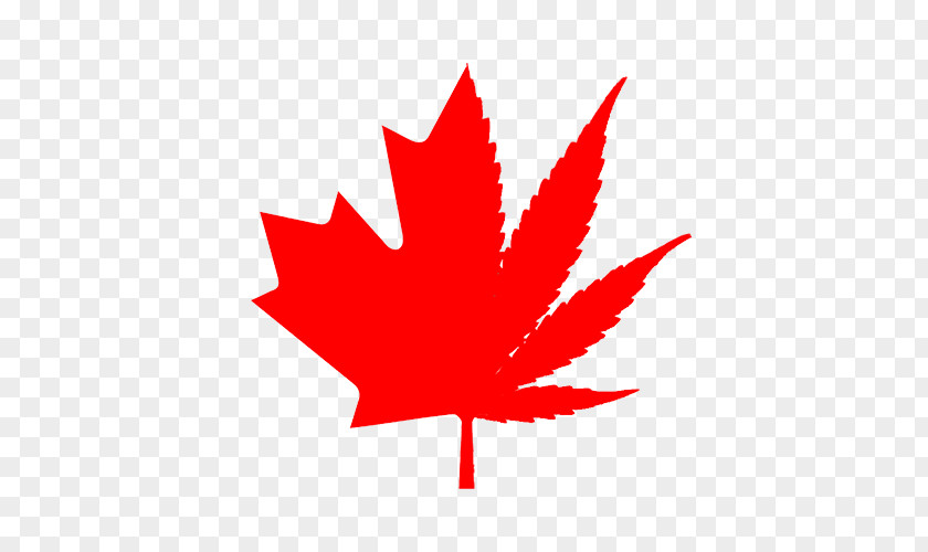 Canada Flag Of Maple Leaf Clip Art PNG