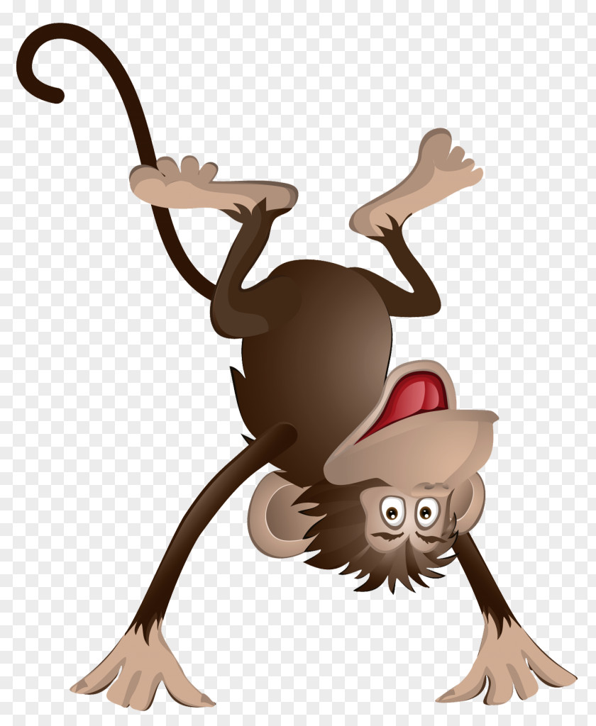 Monkey Vector Graphics Euclidean Drawing Illustration PNG