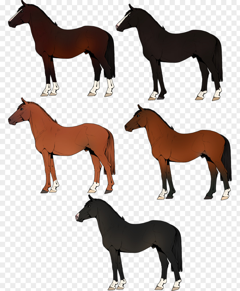 Mustang Rough Collie Dalmatian Dog Boxer Clip Art PNG