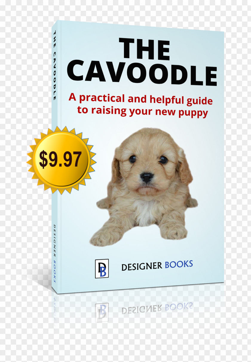 Puppy Cavapoo Dog Breed Poodle Labradoodle PNG