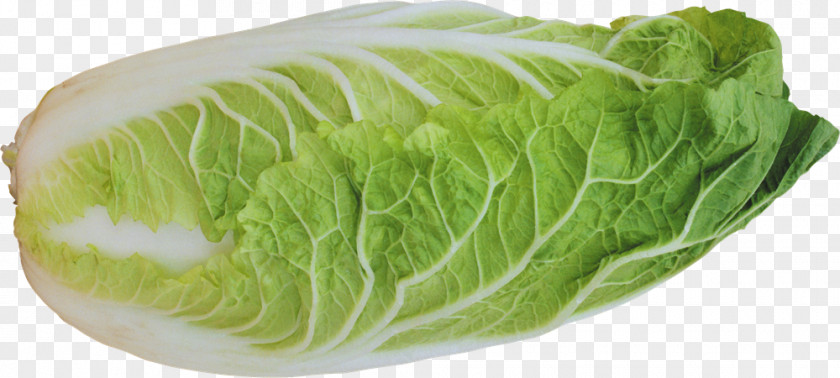 Salad Cruciferous Vegetables Romaine Lettuce Sandwich Collard Greens Leaf Vegetable PNG