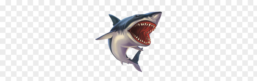 Sharks PNG clipart PNG