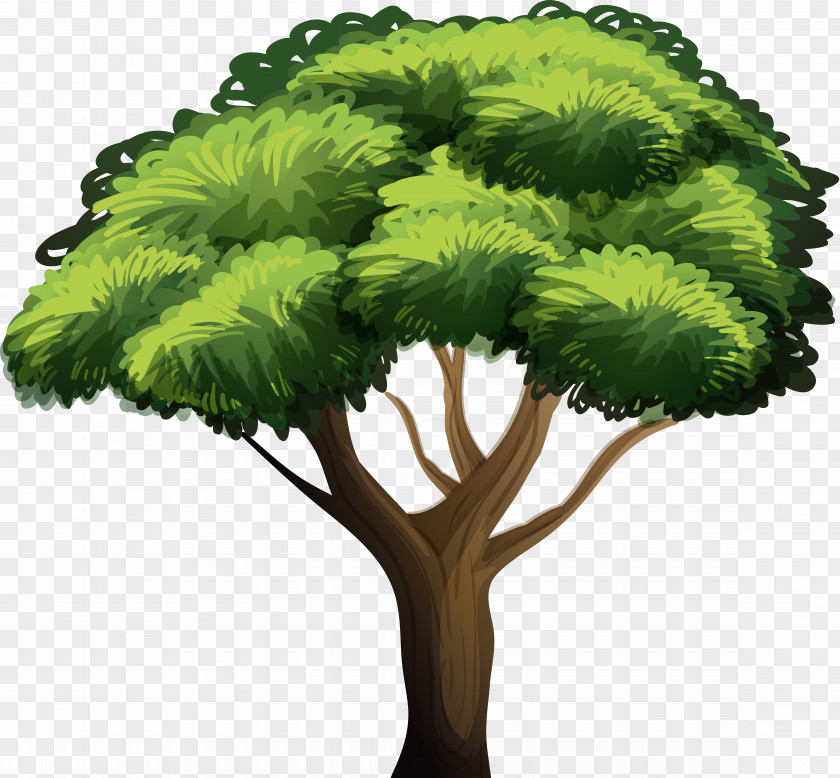 Tree Vector Clip Art Graphics Illustration Royalty-free Stock Photography PNG