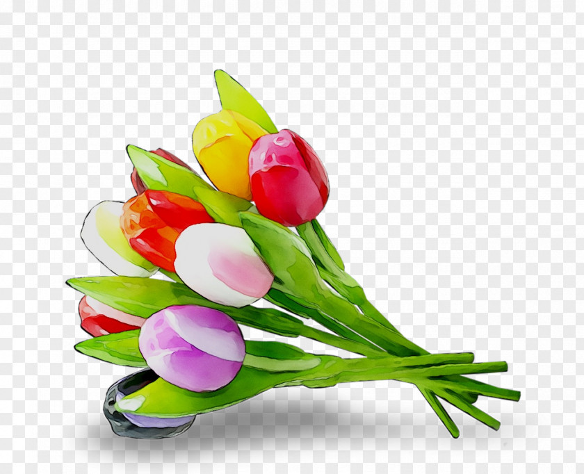 Floral Design Cut Flowers Flower Bouquet Tulip PNG