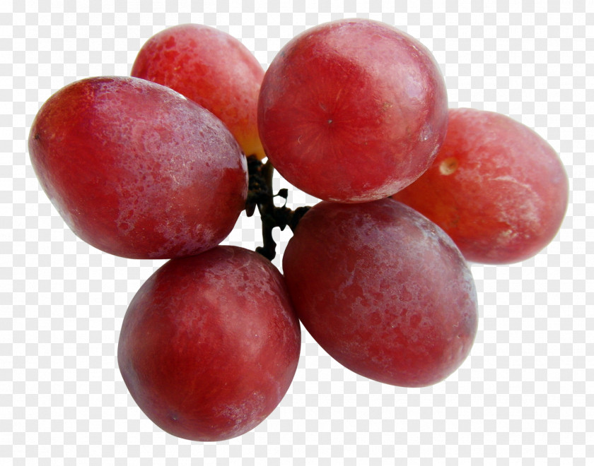 Grapes Red Wine Malbec Grape PNG