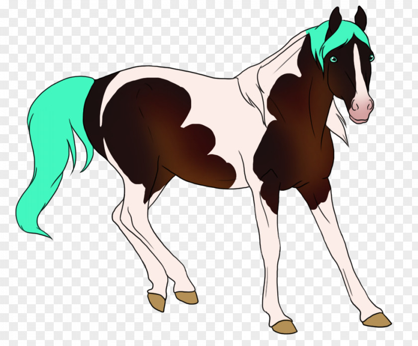 Horse Foal Mane Stallion Mare PNG