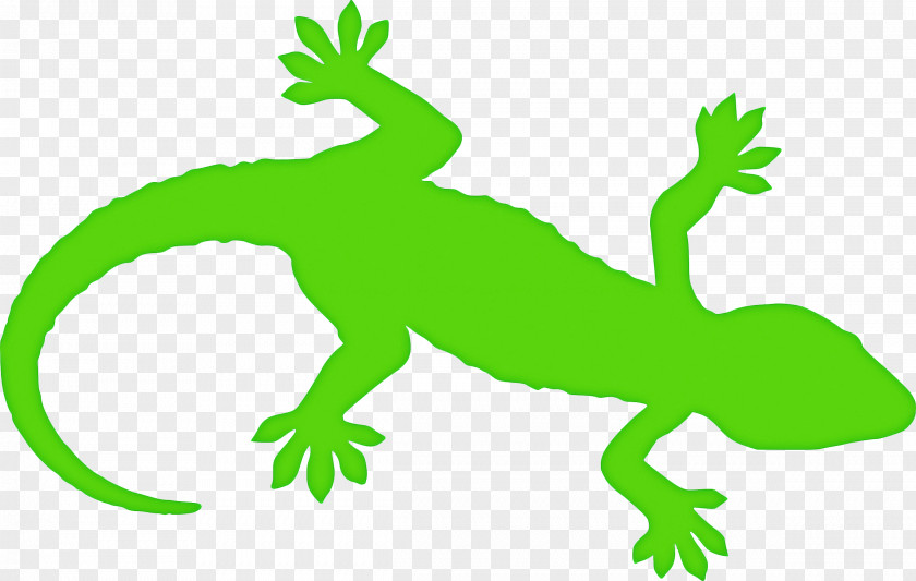 Tail Scaled Reptile Lizard Green PNG