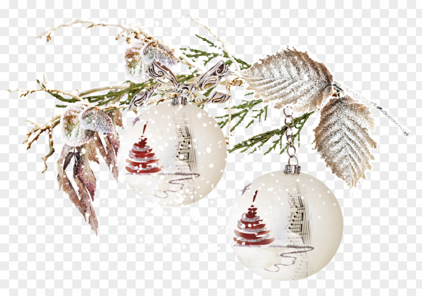 Winter Snow Christmas Ornament Day PNG