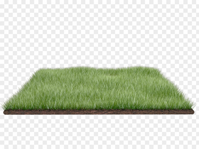 A Meadow Lawn Clip Art PNG