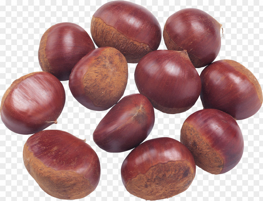 Acorn Chinese Chestnut Lidong Food Qianxi County, Hebei PNG