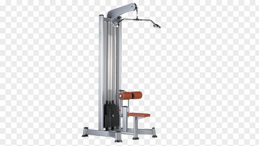 Bodybuilding Pulley Physical Fitness Weight Training Exercycle, S.L. PNG