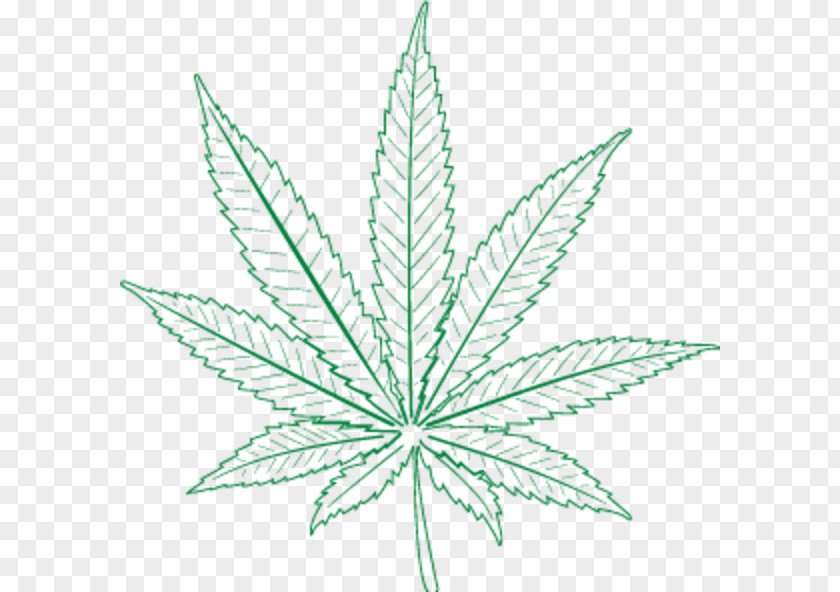 Cannabis Leaf Hemp Plant Stem Line PNG