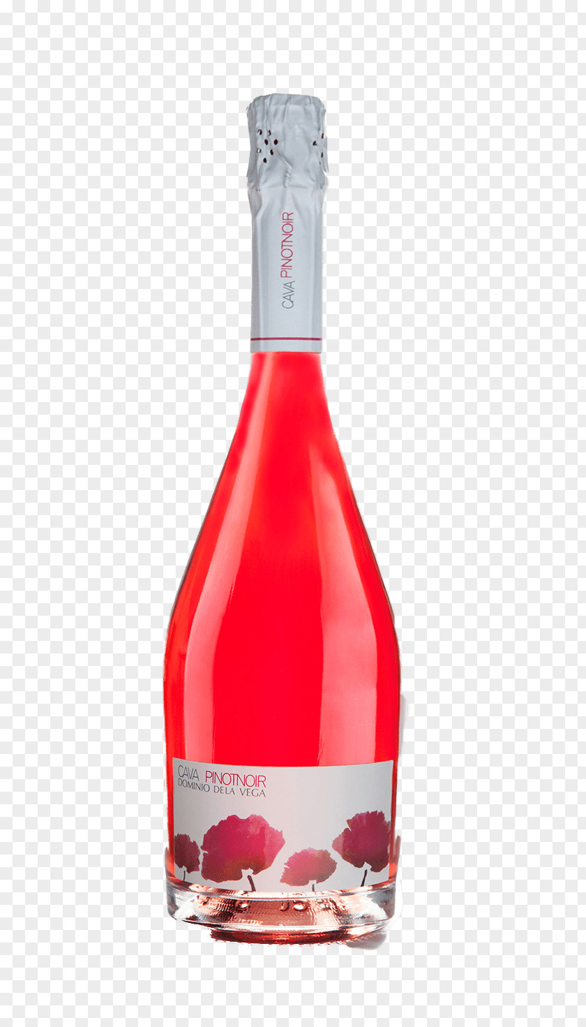 Champagne Pinot Noir Rosé Cava DO Wine PNG