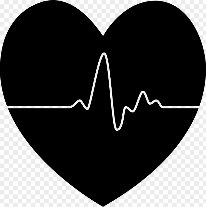 Electrocardiogram Lion Alamy PNG