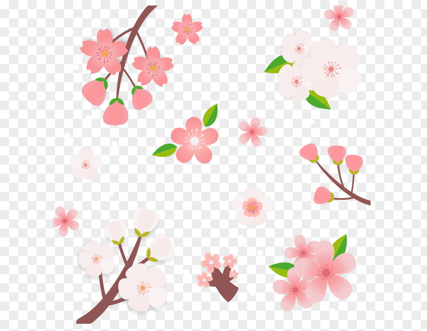 Fresh Cherry Cartoon Blossom Cerasus PNG