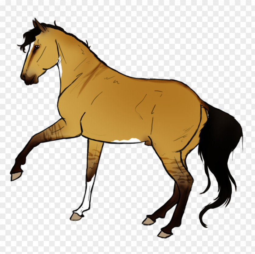 Mustang Mule Foal Stallion Mare PNG
