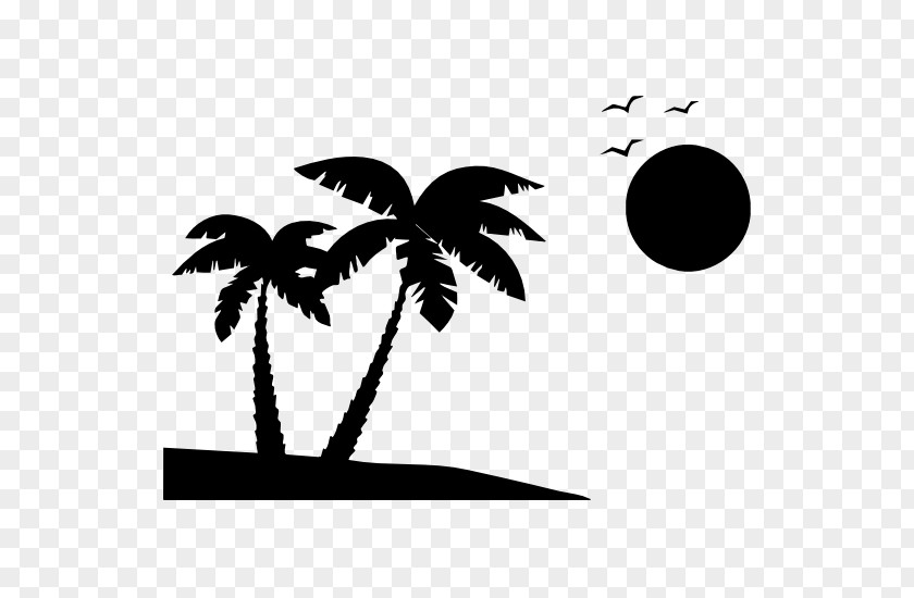 Palm Tree PNG