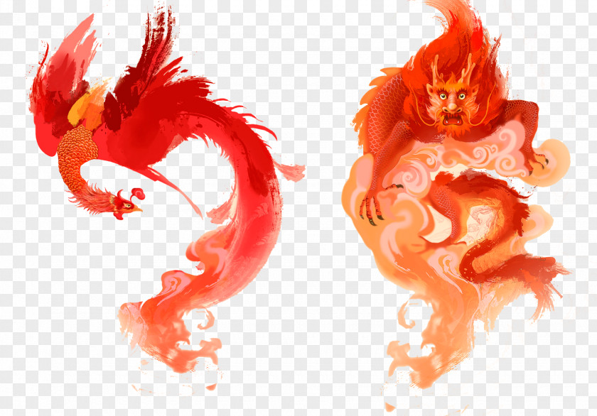 Phoenix Dragon China Chinese New Year Illustration PNG