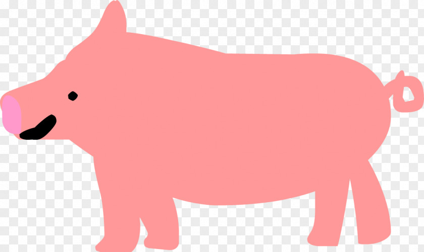 Pig Dog Snout Bear PNG