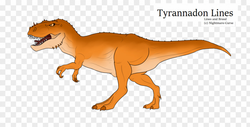 Snake Eye Tyrannosaurus Velociraptor Extinction Animal Wildlife PNG