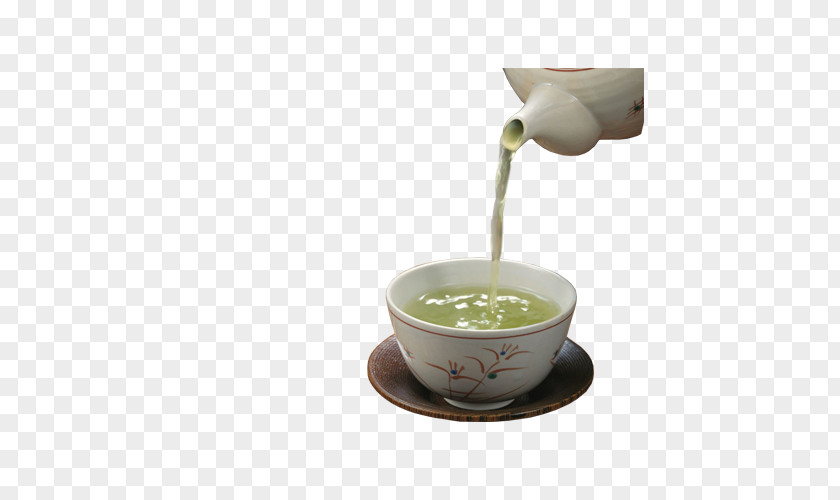 Tea Set Earl Grey Mate Cocido Flowering Culture PNG