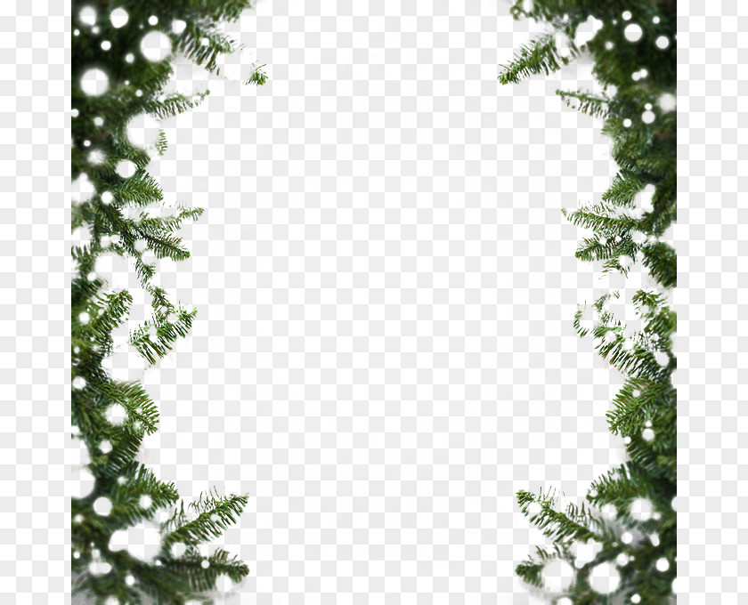 Beautiful Pine Snowflake Border Snow MIME PNG