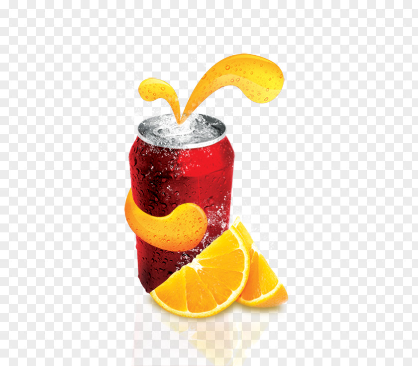 Drink Orange Juice Soft PNG