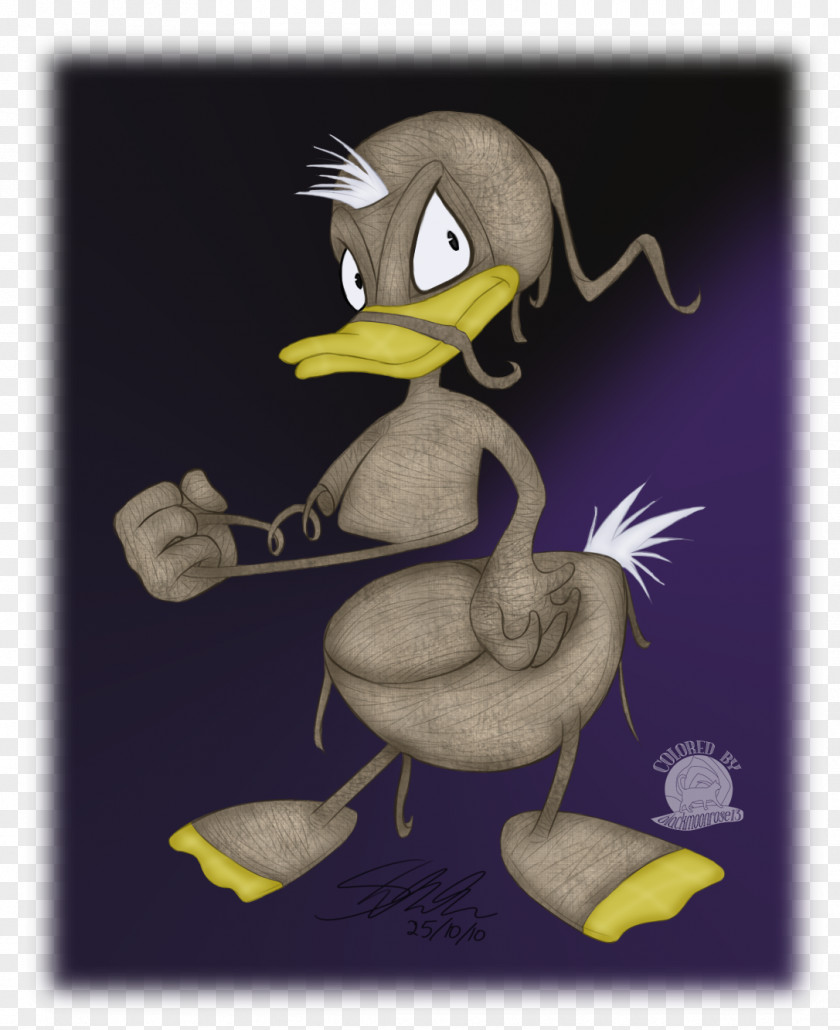 Duck Goose Beak Cygnini PNG