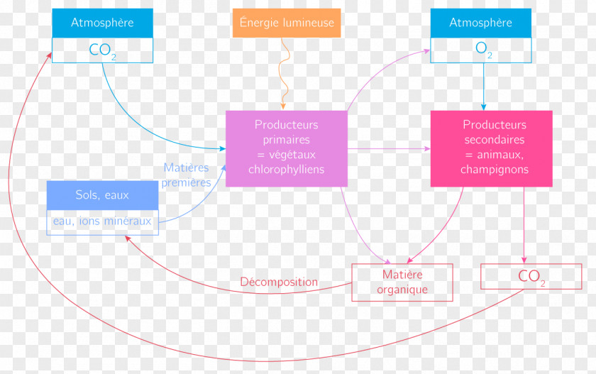 Hydrosphere Ppt Brand Organization Line PNG