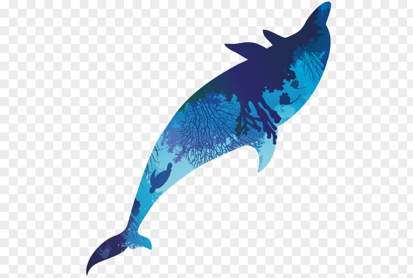 Whale Body Building Dolphin Cobalt Blue Marine Biology Turquoise PNG