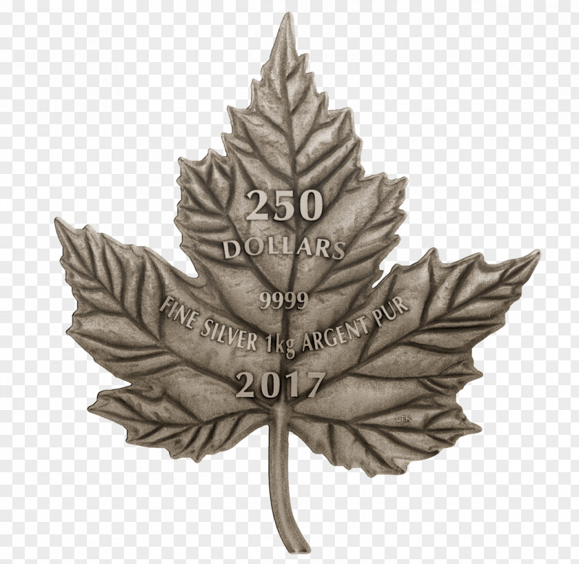 A Bunch Of Maple Leaves Flag Canada The Leaf Forever Canadian Silver PNG