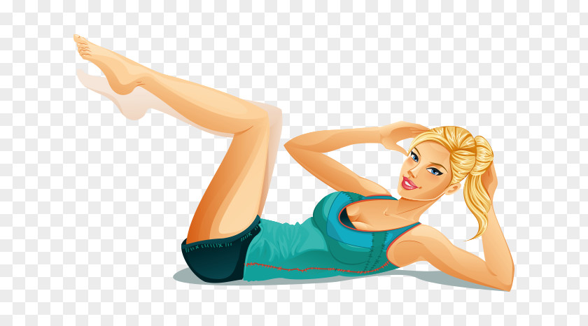 Abdomen Drawing Sit-up PNG