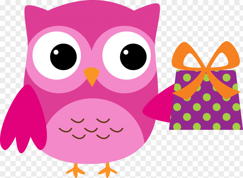 Birthday Material Owl Clip Art PNG