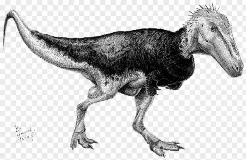 Dinosaur Tyrannosaurus Alioramus Teratophoneus Nanotyrannus PNG