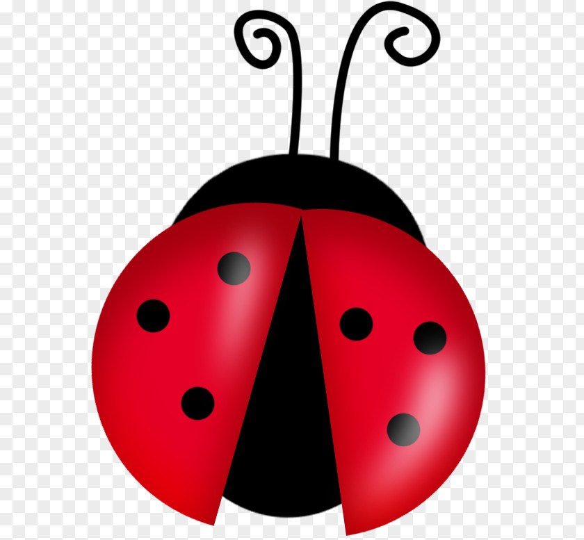Free Ladybug Cliparts Cartoon Ladybird Drawing Clip Art PNG