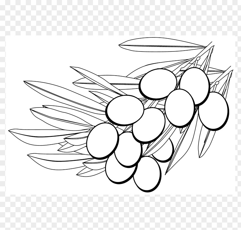 Grape Symmetry Line Art Clip PNG