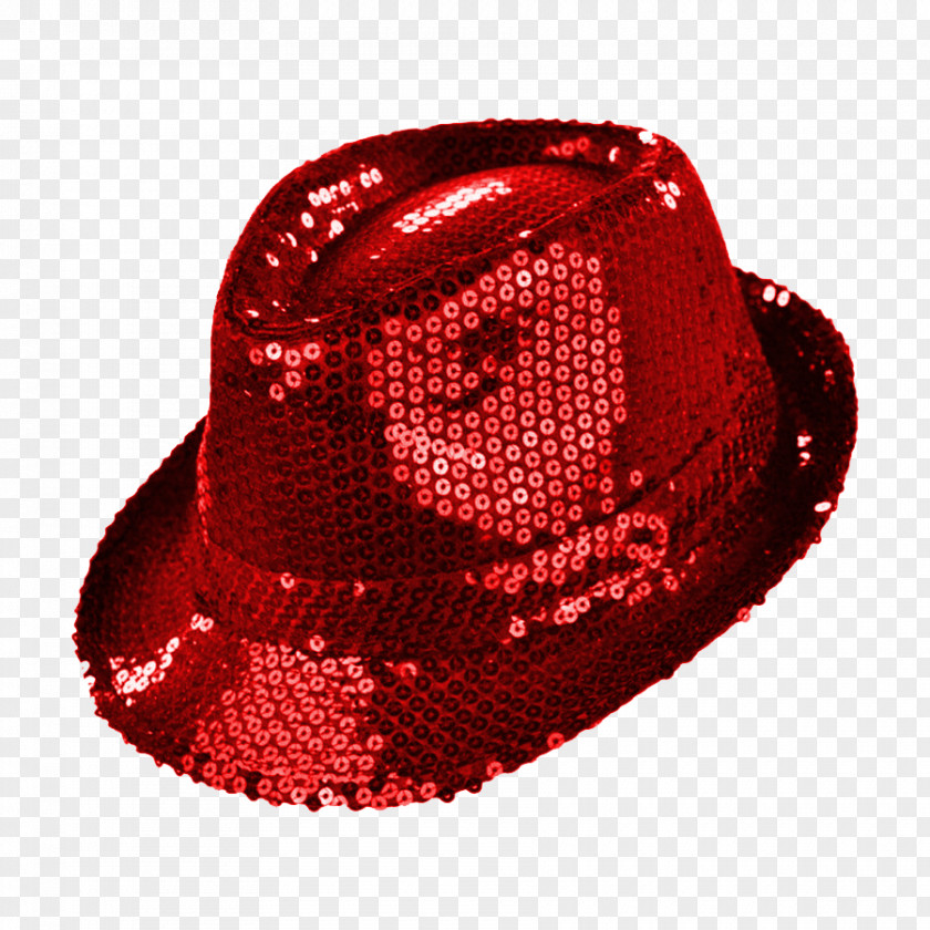 Hat Fedora Sequin Textile Cap PNG