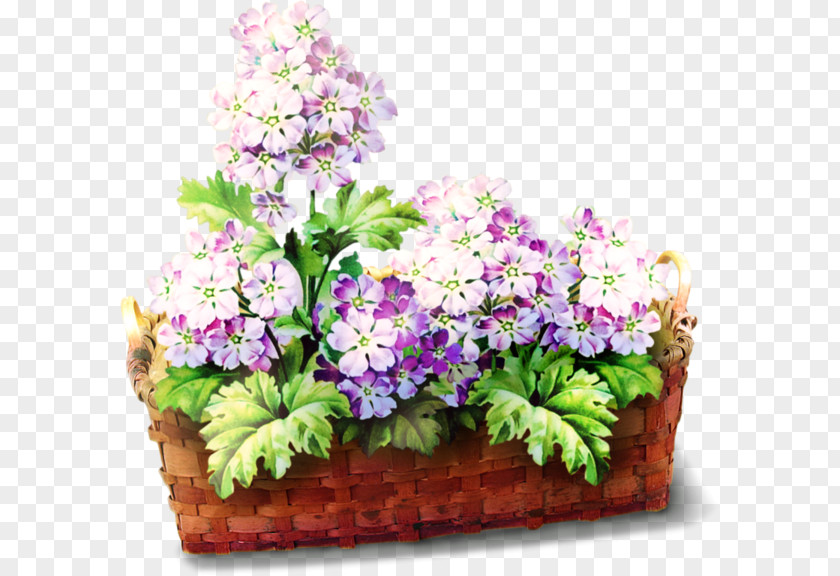 Hydrangea Flower Clip Art PNG