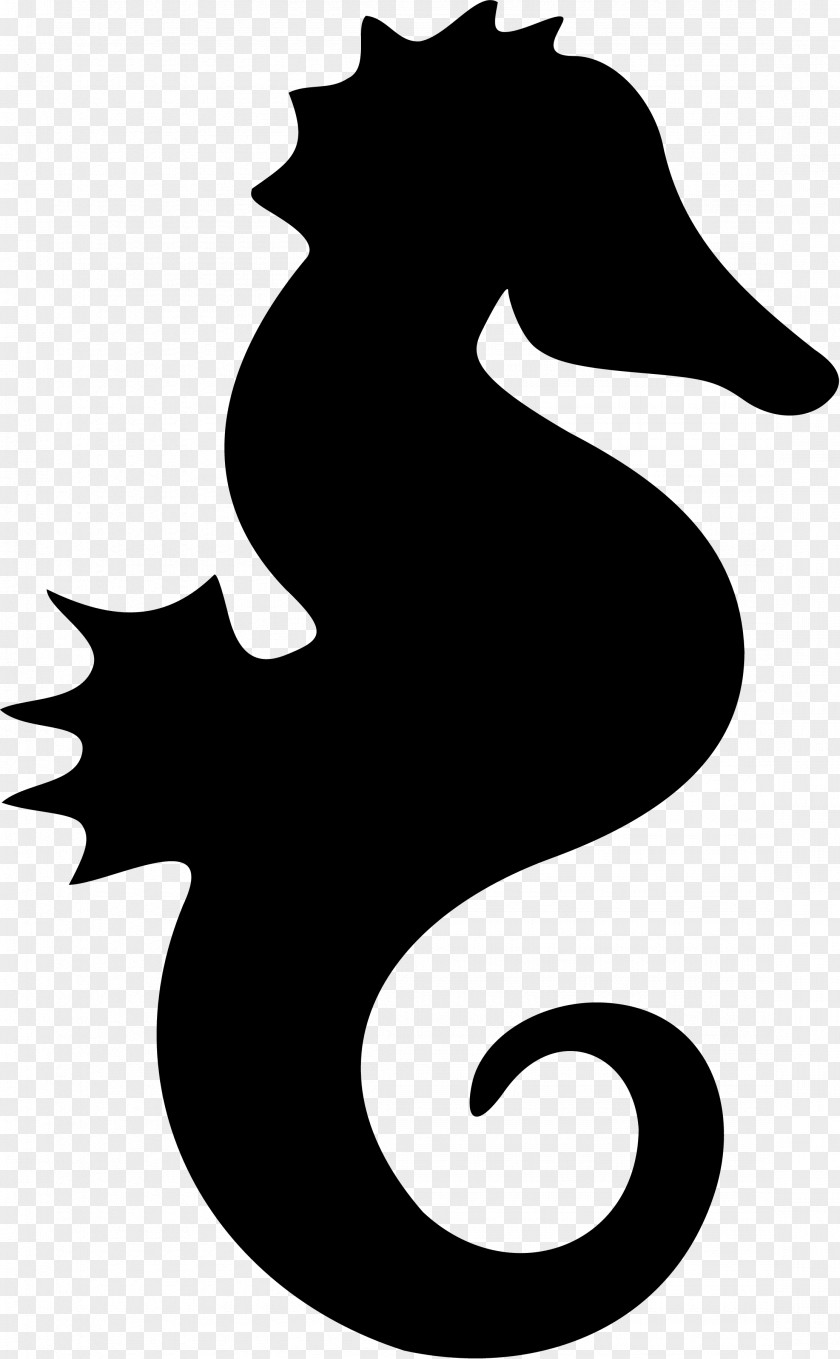 Nautical Seahorse Silhouette Drawing Clip Art PNG