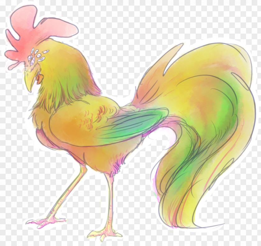 Rooster Bird Chicken Phasianidae Animal PNG