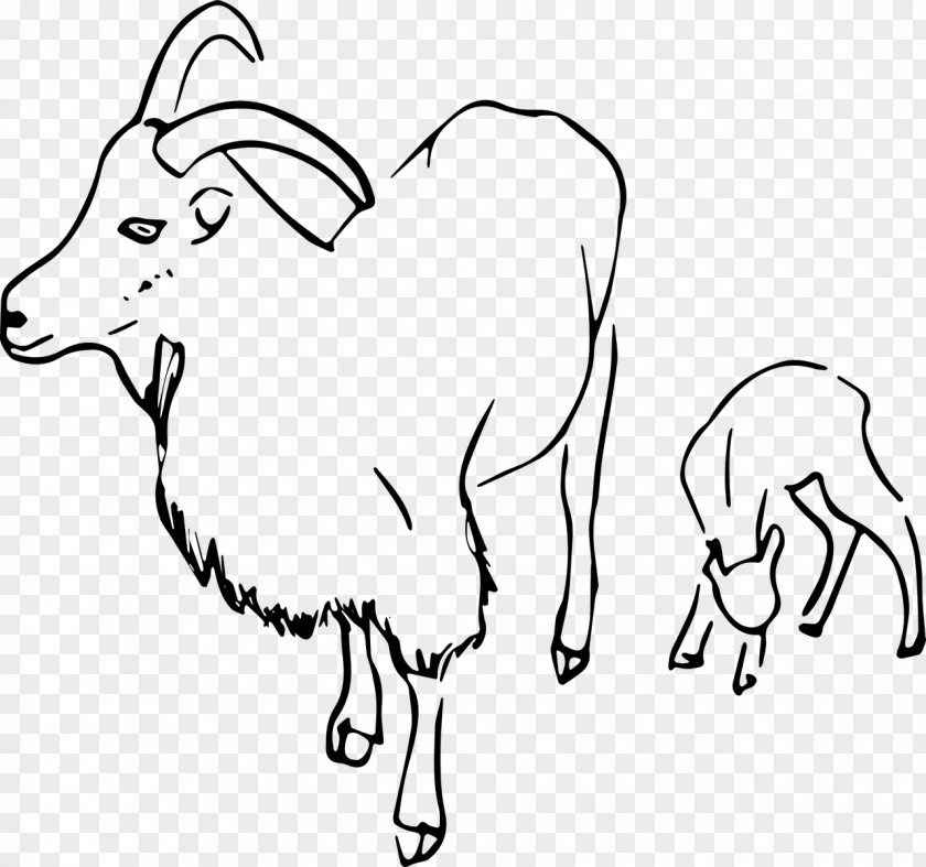 Vector Goat Ahuntz Cattle Drawing Clip Art PNG