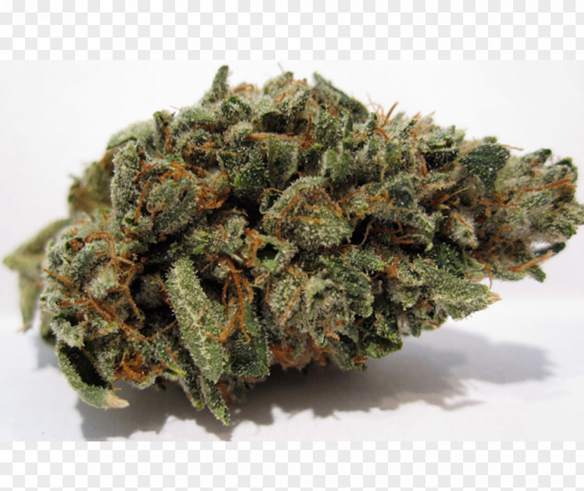 Weed Kush Cannabis Luke Skywalker Hash Oil Blue Dream PNG