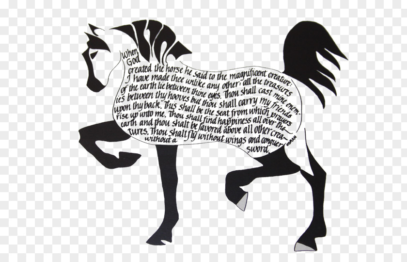 Archery Training Quotes Arabian Horse Mustang Mare Equestrian Stallion PNG