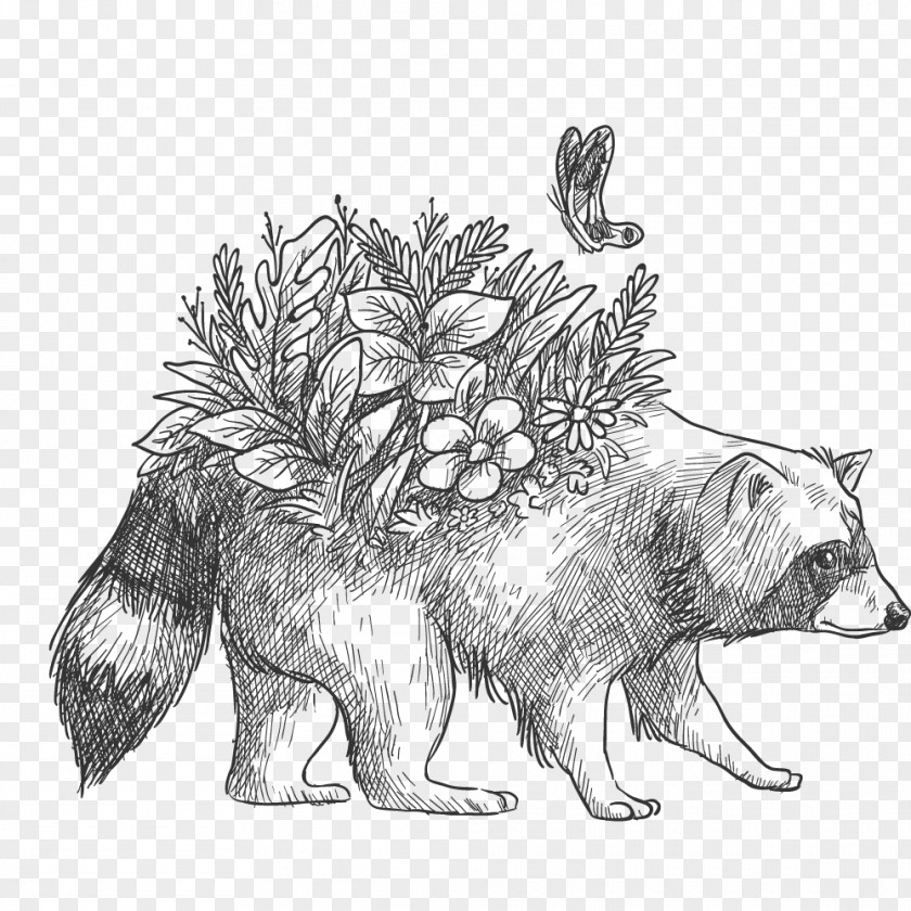 Bear Design Element Raccoon Red Panda Image Drawing Coloring Book PNG