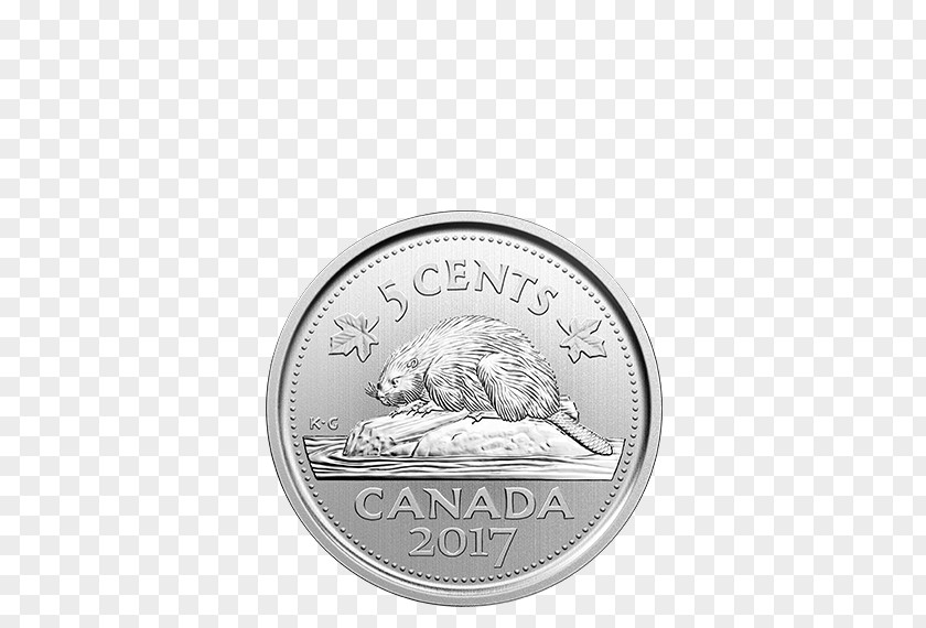 Coin Snow Goose Canadian Dollar Quarter PNG