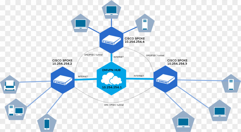 Computer Network Dynamic Multipoint Virtual Private Generic Routing Encapsulation Tunneling Protocol PNG