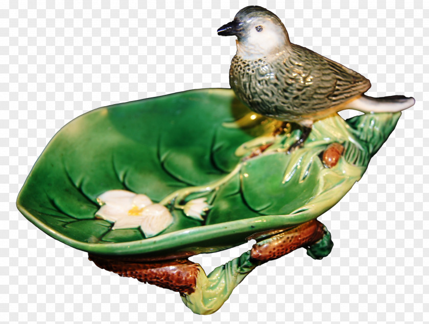 Duck Beak Tableware PNG
