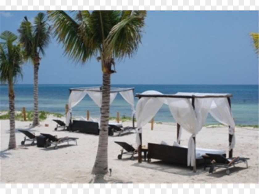 Hotel Playa Del Carmen BlueBay Grand Esmeralda Beach Cancún PNG