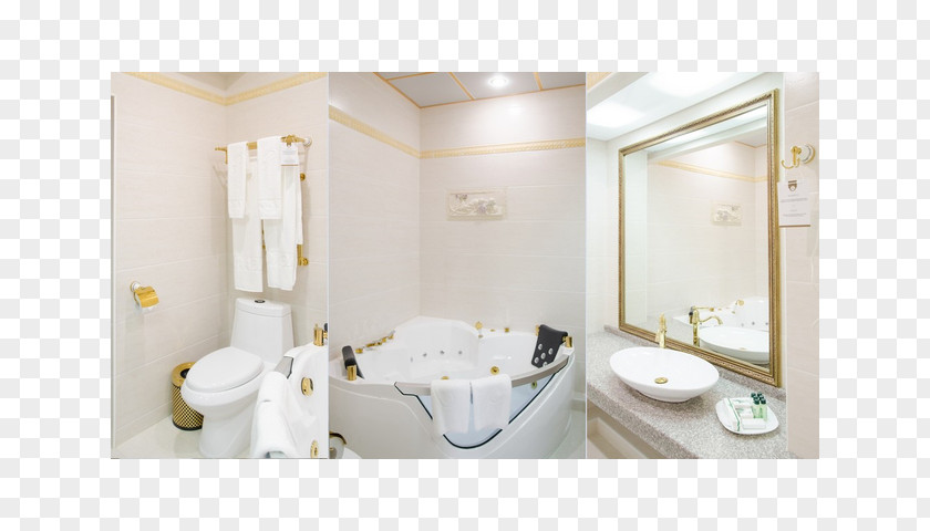 Hotel SPA Rafael Bathroom Suite PNG